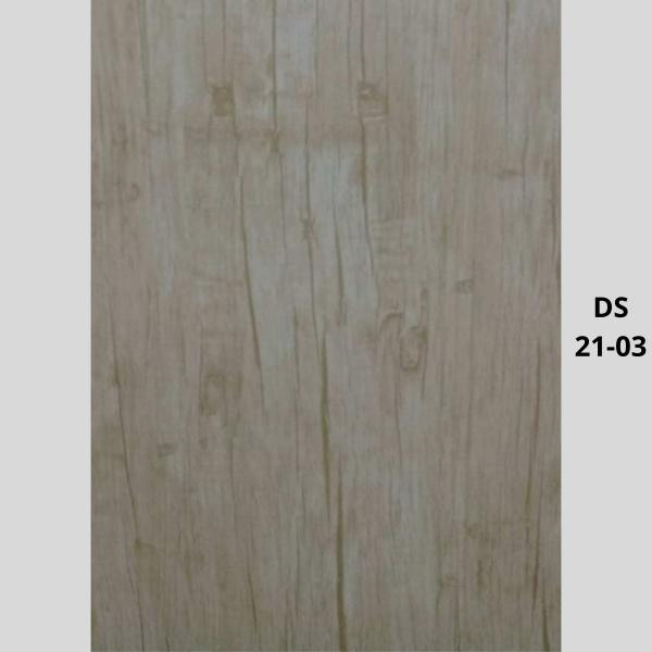 PVC-Hollow-Door---DS-21-03